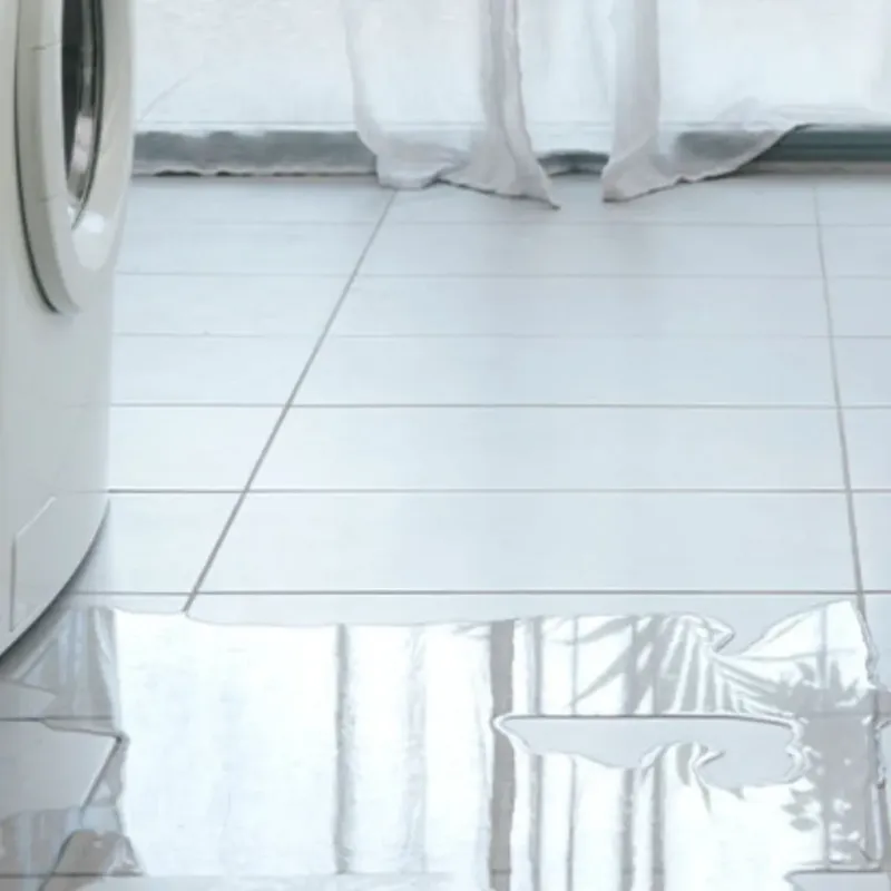 Appliance Leak Cleanup in Bay Pines, FL